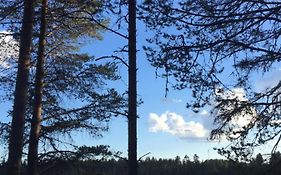 Petäjälammen Turistimajat